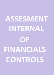 Assessment of Internal Financials Controls